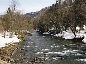 岩尾内湖より上流の天塩川