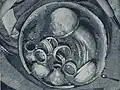 発見された状態