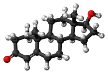 A ball-and-stick model of testosterone.{{{画像alt2}}}