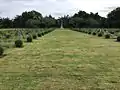 第二次世界大戦墓地