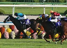 第13回優勝馬ブラックエンブレム(鞍上、岩田康誠)