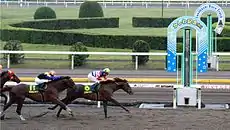 第21回かしわ記念(2009年5月5日)エスポワールシチー優勝