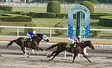 第22回かしわ記念(2010年5月5日)エスポワールシチー優勝