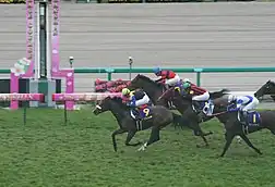2010年優勝馬アパパネ