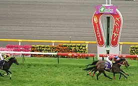 2009年優駿牝馬