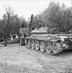 クルセーダー巡航戦車を牽引する回収車型のスキャメル パイオニア。1943年、チュニジア。