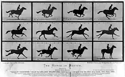 エドワード・マイブリッジの『動く馬』