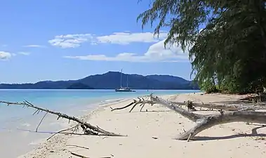 砂浜海岸
