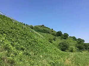 皆川城址