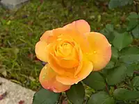 神戸市須磨区 須磨離宮公園
