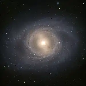 M95