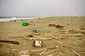鹿島灘に流れ着いたがれき(茨城県神栖市、2011年5月8日撮影)