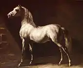 テオドール・ジェリコー, Cheval arabe gris-blanc