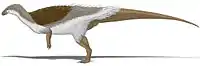 Thescelosaurus neglectus