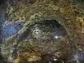 マグマだまりの内部