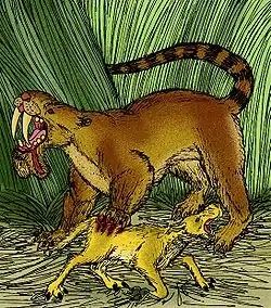 南アメリカに生息していた有袋類のティラコレオ、体長1.2-1.7m、パナマ地峡を渡ってきたスミロドンとの生存競争に敗れて滅んだ。