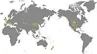 装盾類の分布図