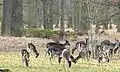 キルヒローデ市区の動物園