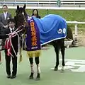 第59回日経新春杯（2012年1月15日）