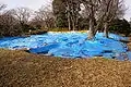 2004年(平成16年)に発見された第2の塔基壇(塔跡2)