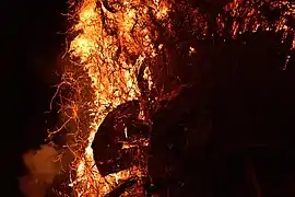 「すずみ」を揺らす奉仕者