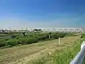 左岸下流側から