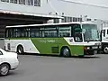 参考：旧栃木観光バス所属車