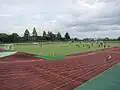 観客席からピッチを望む