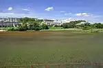 戸笠池（2015年（平成27年）7月）