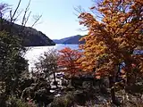 ゴンドラから芦ノ湖を見る（2008年11月）