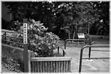 東郷元帥記念公園(三番町)