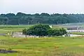 成田空港の誘導路から見た東峰神社
