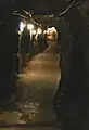 土肥金山