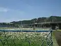 ぎふ大和IC - 白鳥IC郡上市白鳥町中津屋1,085 m