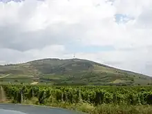 Colour photograph showing the terrain of Tokay. The vineyard is backed by a mountain, an ancient extinct volcano, giving a terrain of high quality for growing grapes.