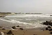 コトジツノマタが採れる長崎海岸