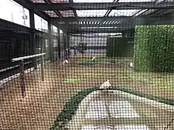長岡市トキと自然の学習館 トキみーて