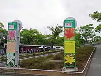 ところざわのゆり園