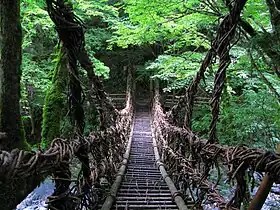 奥祖谷二重かずら橋(女橋)