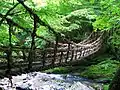 奥祖谷二重かずら橋