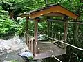 野猿（南岸側から）