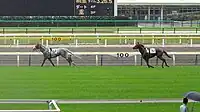 コースを逆走する空馬