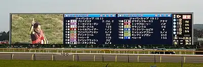 映像装置と一体型タイプ