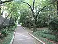 散策路