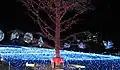 東京ミッドタウン「MIDTOWN CHRISTMAS」