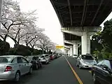 墨田区向島付近