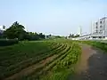 草木の多い遊歩道