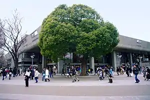 東京文化会館(東京都台東区)
