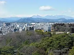 宇都宮タワーから見た戸祭