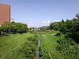 はぎその緑地内にある木橋「千樹橋」（2013年6月）